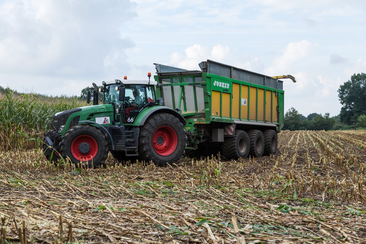 Bild 227 - Maisernte